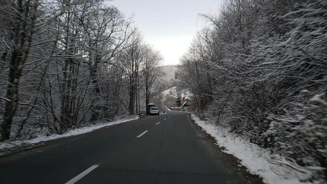 Autoritățile au acționat pentru combaterea poleiului  Foto Consiliul Județean Cluj