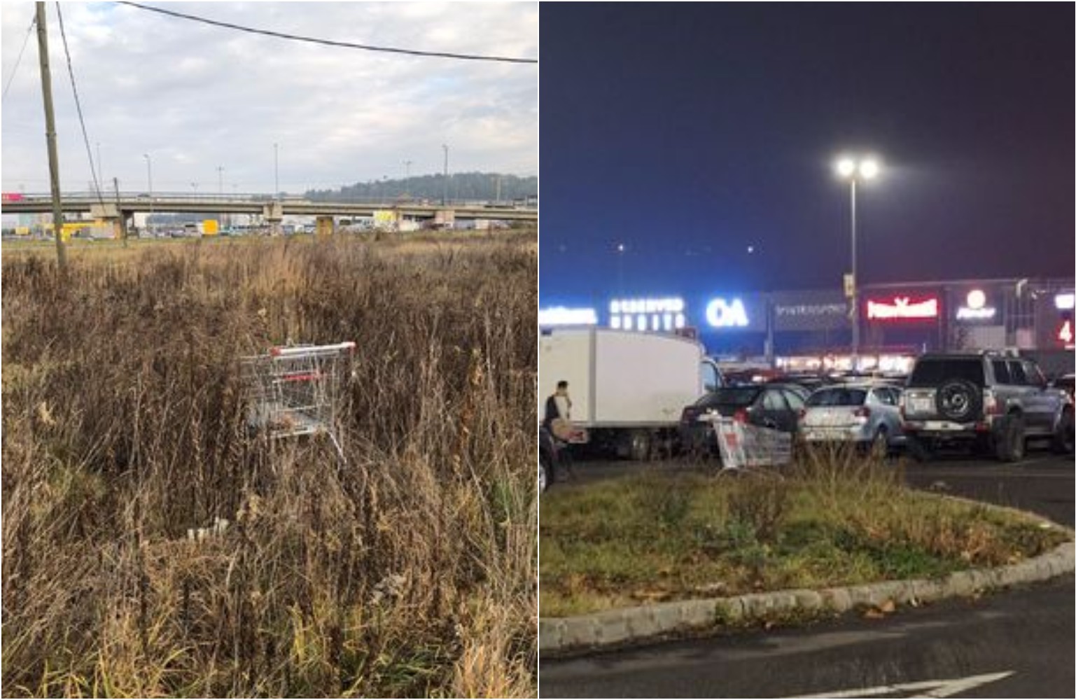Cărucioare de cumpărături