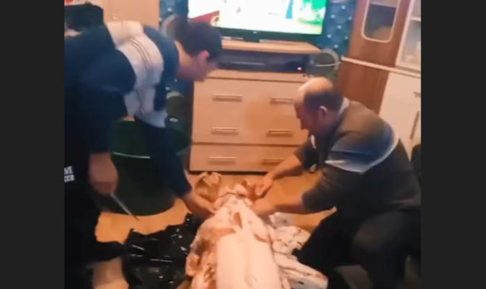 Câțiva români inventivi au decis să taie porcul în casă în timp ce se uitau la serial/ Foto: newshd.ro