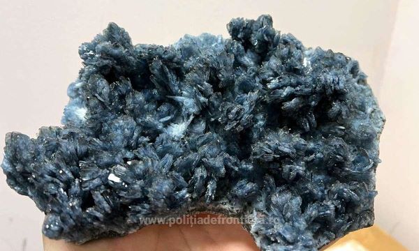 Poliţiştii de frontieră au descoperit în Aeroportul Cluj 27 de kilograme de flori de mină/ Foto: politiadefrontiera.ro