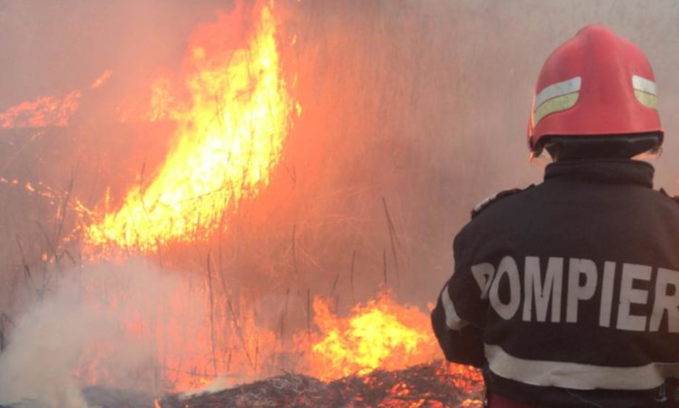 Incendiu la un adăpost de animale din Turda. Foto: arhivă ISU Cluj