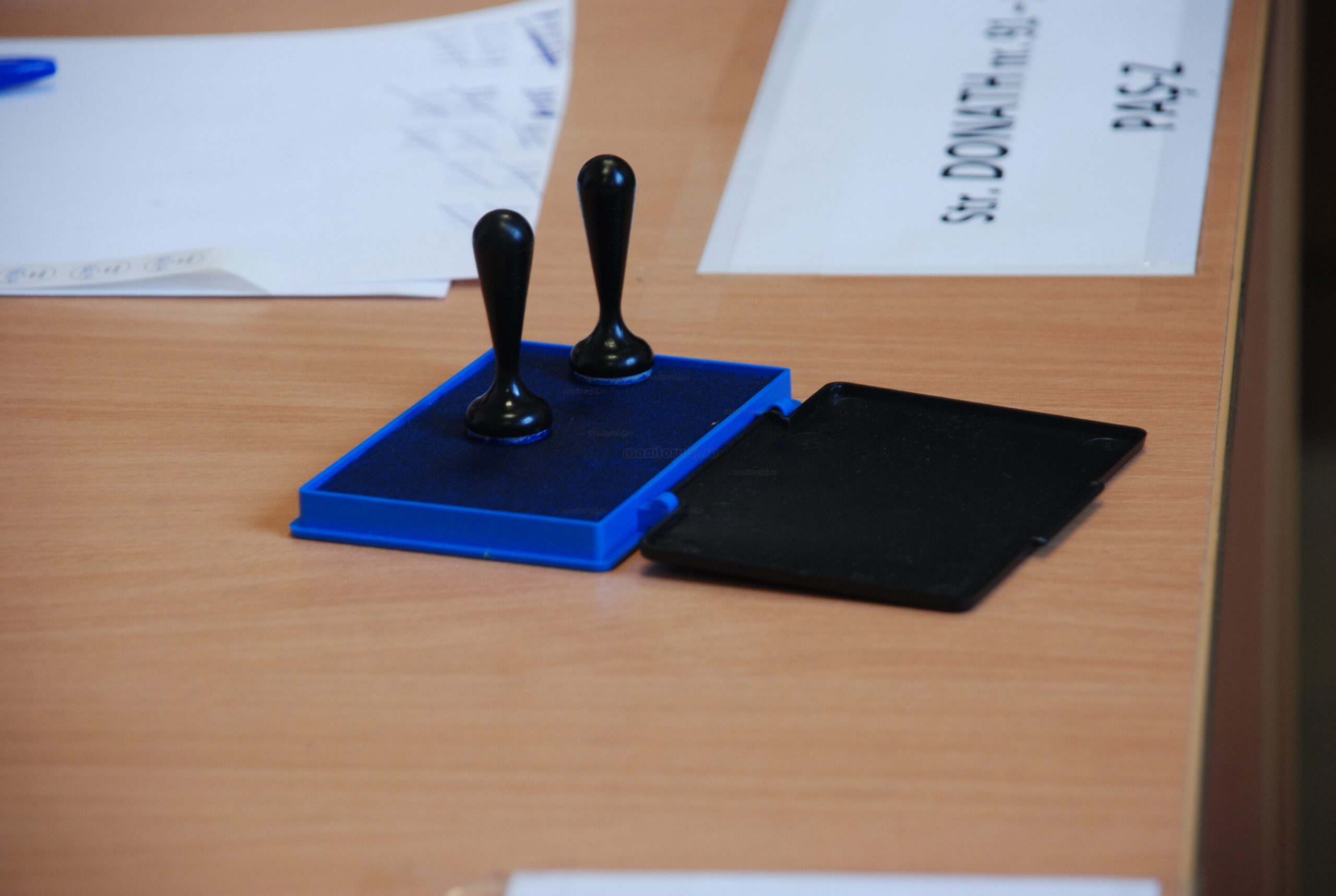 Mai multe organizații non-guvernamentale critică intenția PSD și PNL de a comasa alegerile europarlamentare cu cele locale. FOTO: monitorulcj.ro