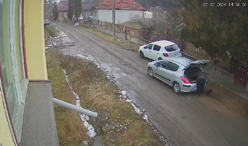 Câini abandonați / Foto: Info Trafic Cluj-Napoca - Facebook