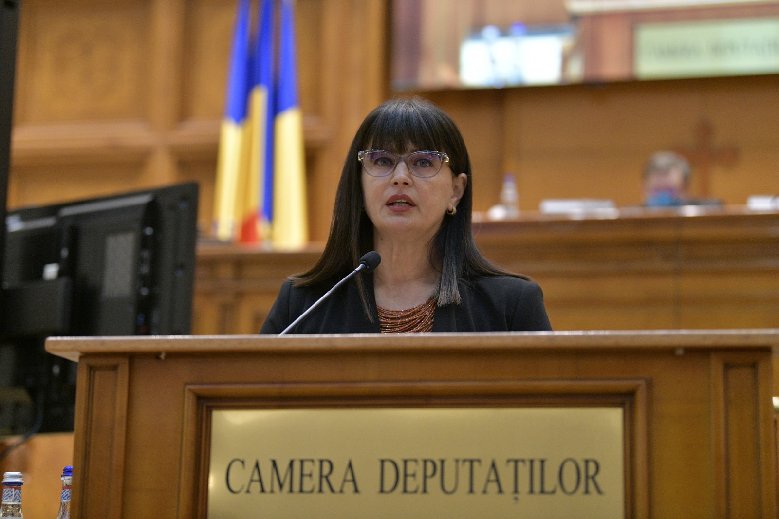 Cristina Burciu este deputat în Parlamentul României din partea Partidului Național Liberal. FOTO: Facebook/ Cristina Burciu
