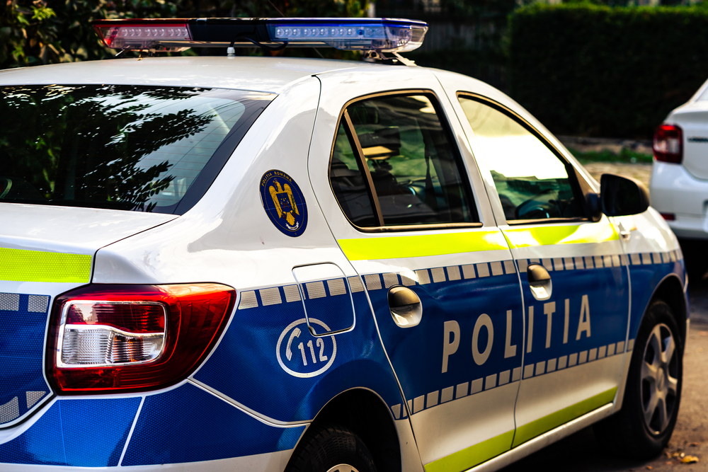 Doi bărbați au fost prinși de polițiști după ce au agresat un cal