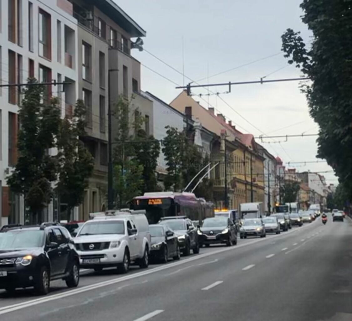 Afacerile din comerţul cu autovehicule au crescut cu 20