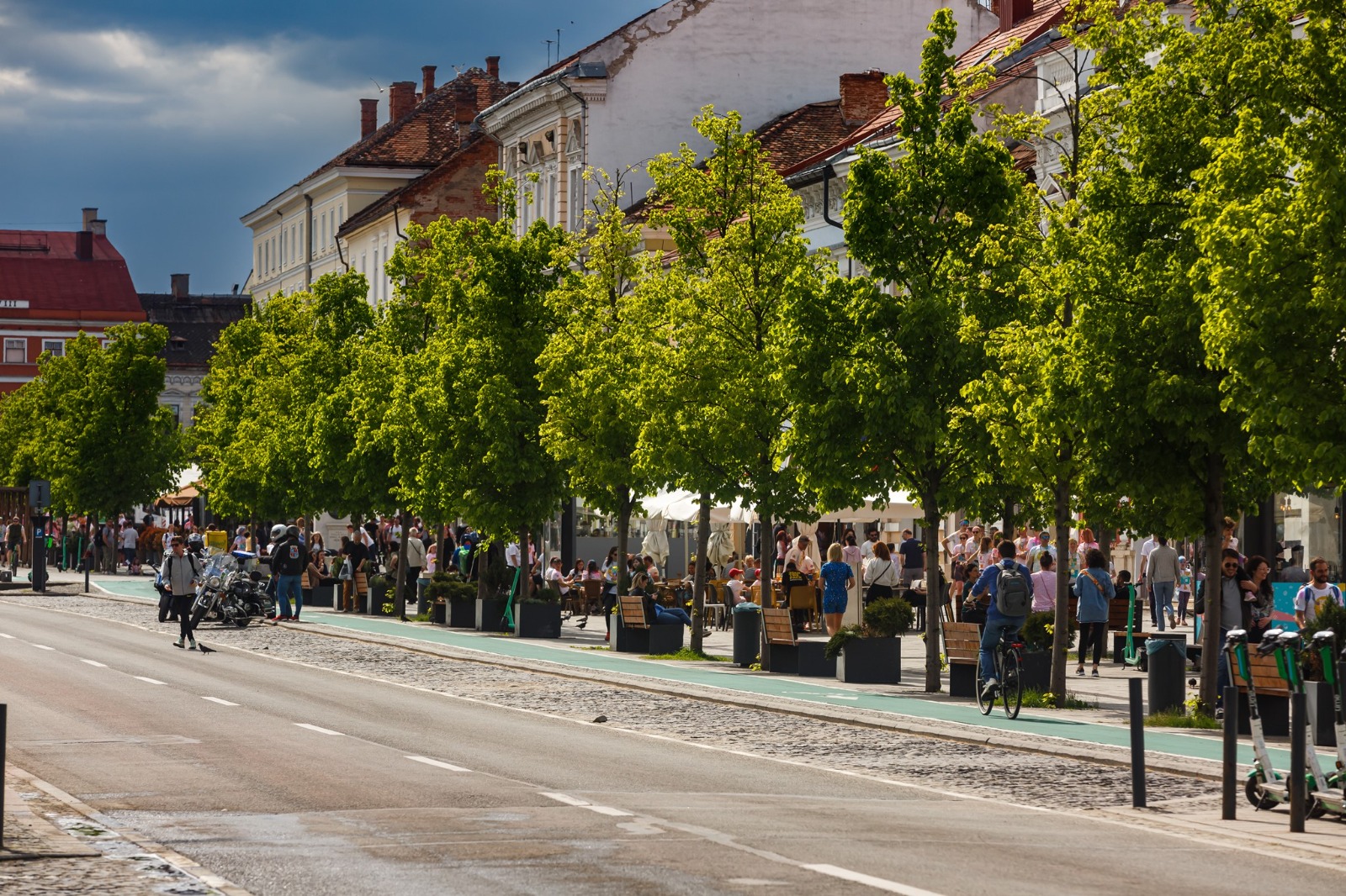 Cluj-Napoca