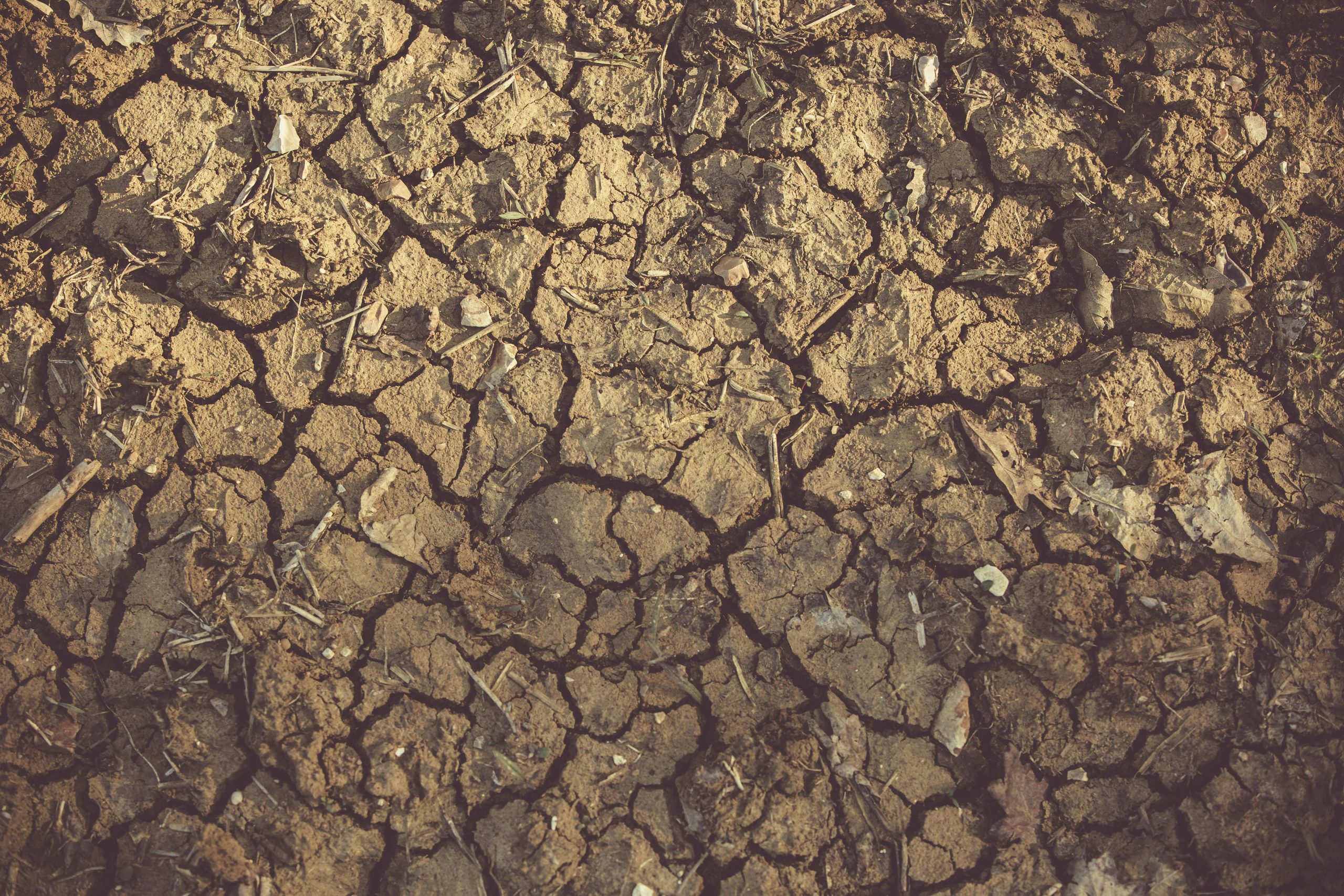 România nu reușește să-și respecte obiectivele privind combaterea schimbărilor climatice/Foto: pexels.com