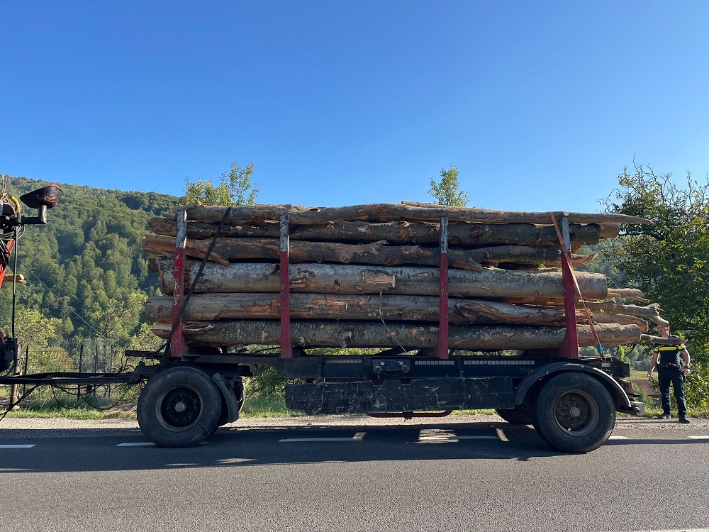 Material lemnos confiscat de polițiști/Foto: IPJ Cluj