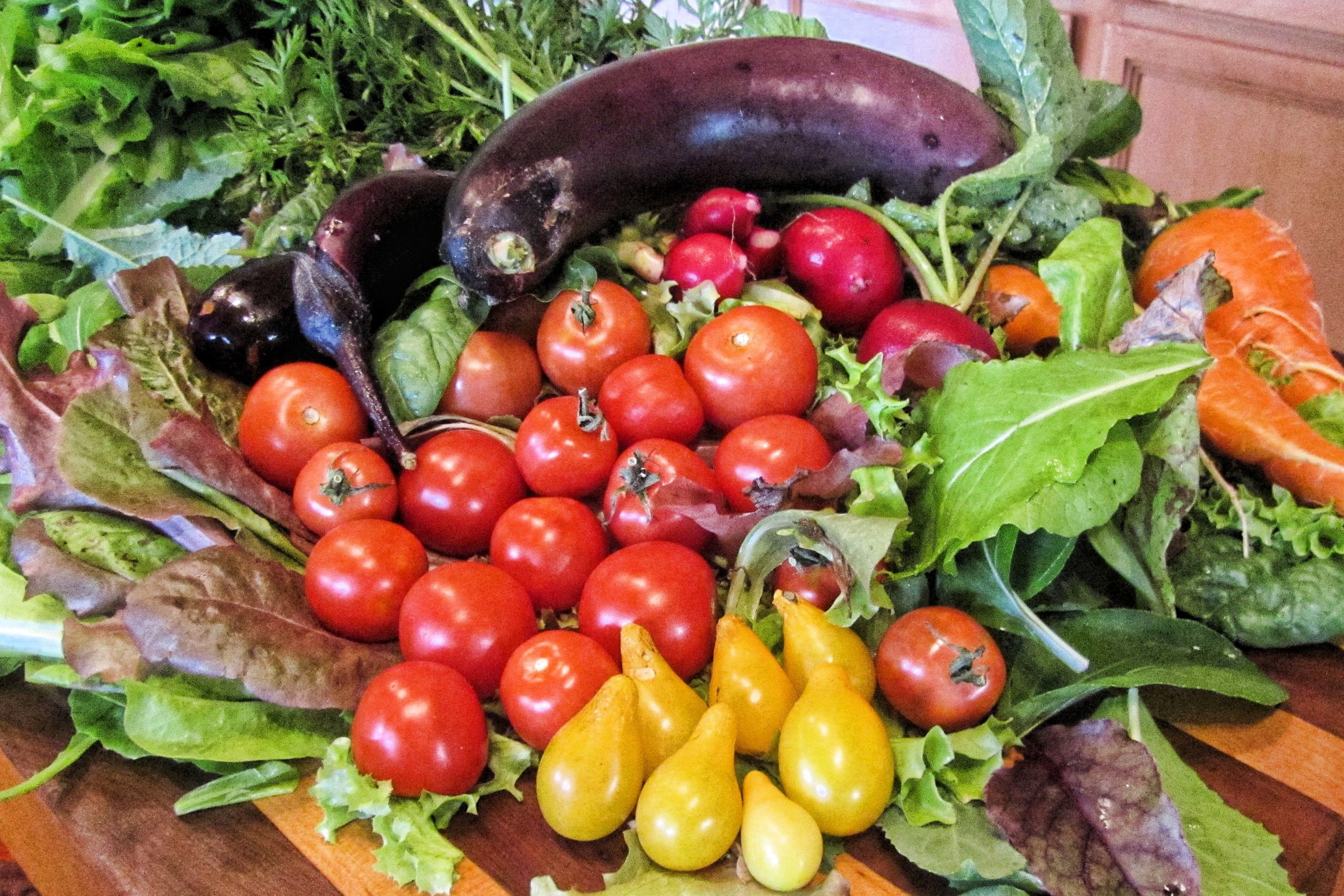 Ce este dieta carpato-danubiană? Face minuni împotriva obezităţii şi diabetului. FOTO: pxhere.com