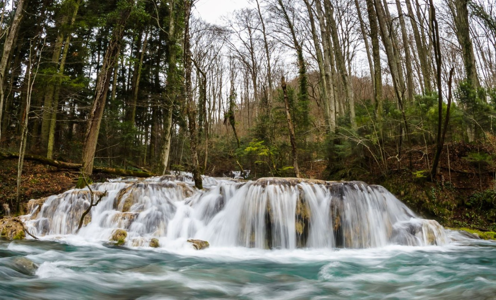 Imagini superbe surprinse într-un parc natural din România/Foto: Foto: Regia Națională a Pădurilor-Romsilva Facebook.com