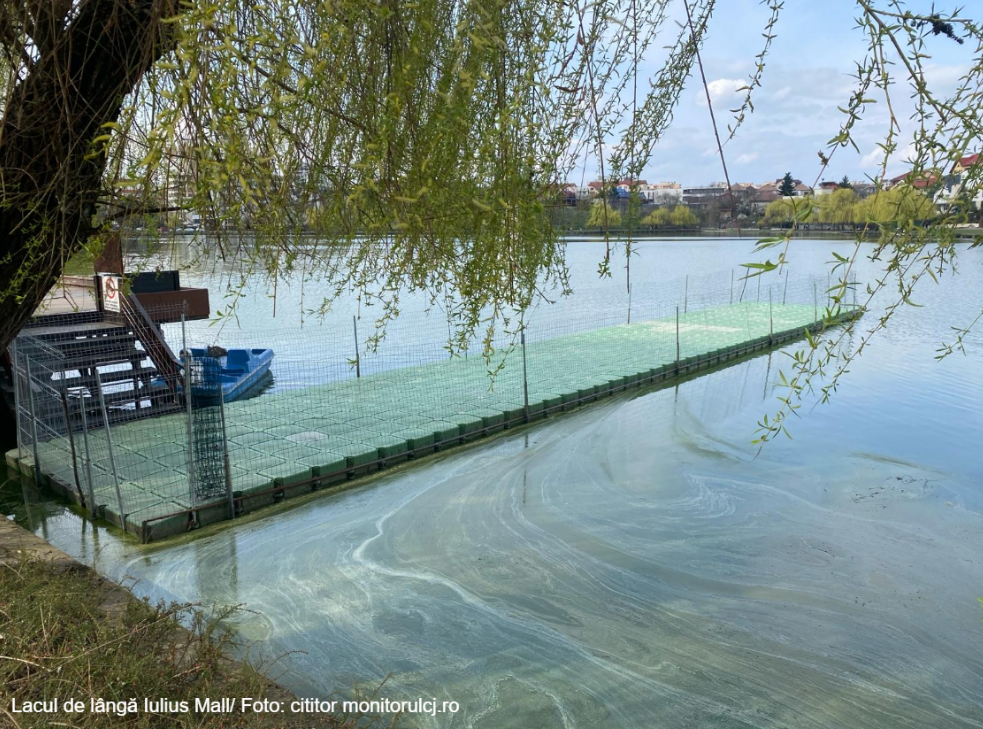 Lacul Gheorgheni este mizerabil/ Foto: cititor monitorulcj.ro