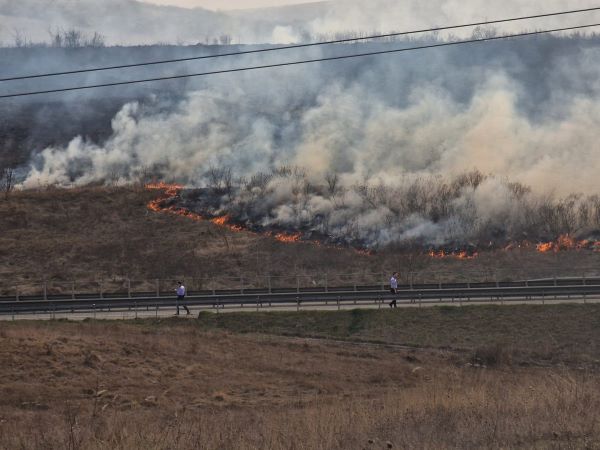 Un incendiu de vegetație a izbucnit