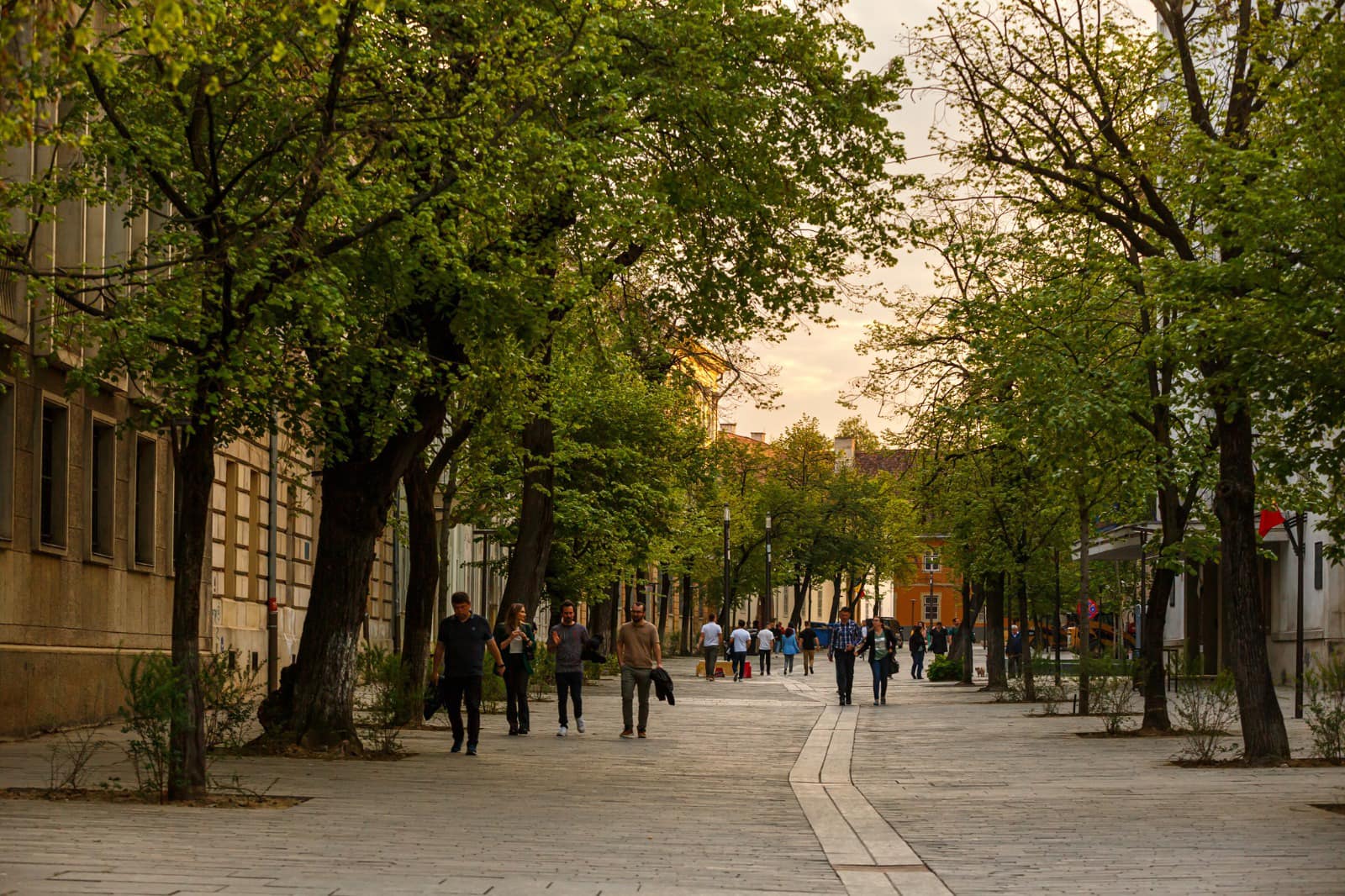 71% dintre europeni spun că probabil vor vota la alegerile din iunie. FOTO: Facebook/ Municipiul Cluj-Napoca