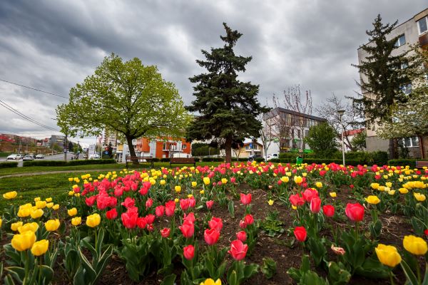 Prognoza meteo pe toată săptămâna/Foto: Municipiul Cluj-Napoca - Facebook