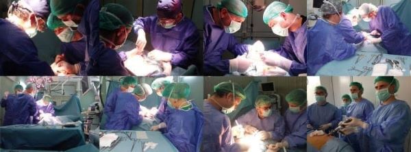 Șase transplanturi