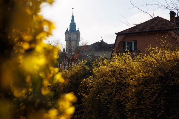 Programul Primăriei Cluj-Napoca în perioada Sărbătorilor Pascale/Foto: Municipiul Cluj-Napoca - Facebook