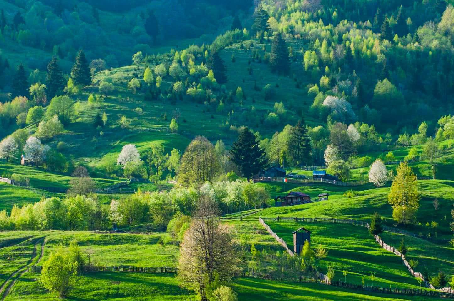 Românii au ales stațiunile montane pentru petrecerea Sărbătorilor de Paște/Foto: Discover Bucovina - Facebook