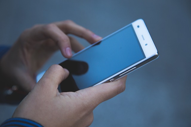 Țara europeană unde se va putea vota la alegeri de pe telefonul mobil. Sursă foto: Pixabay.com