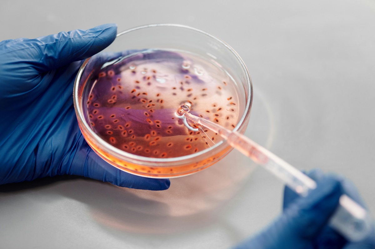 Bacterii într-un laborator. Sunt create puține antibiotice noi