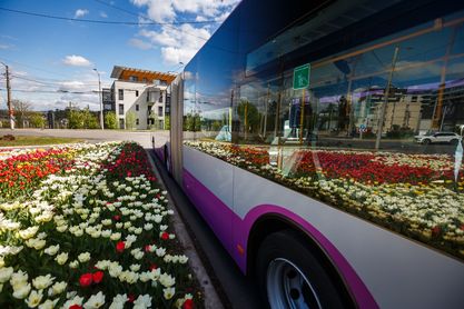 O nouă linie de autobuz va circula de luni din Dâmbul Rotund. O linie deja existentă din Grigorescu a fost extinsă/Foto: Emil Boc - Facebook