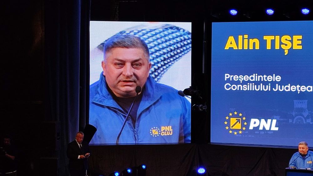 Alin Tișe