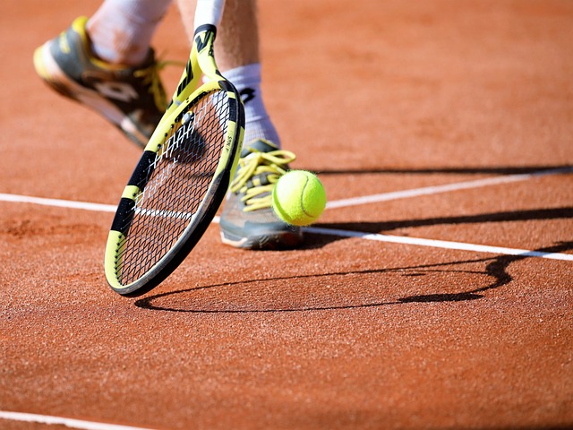 Româncele şi-au aflat adversarele din primul tur de la Roland Garros. Sursă foto: Pixabay