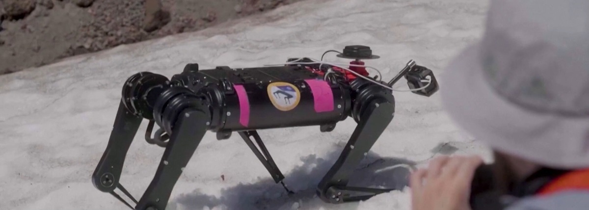 Armata chineză a prezentat un „câine” de luptă robotizat echipat cu mitralieră. Foto: captură CNN