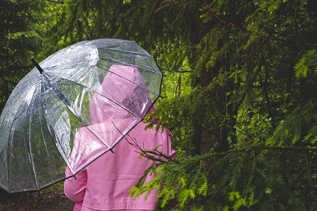 Prognoza meteo în weekend/ Foto: pixabay.com