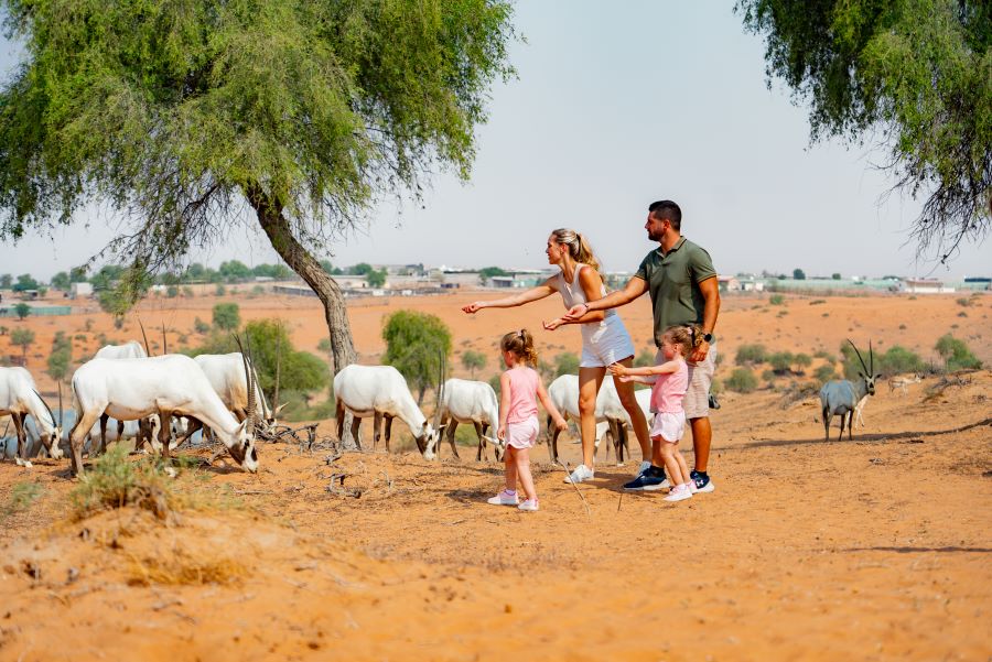 Sursa foto: https://visitrasalkhaimah.com/