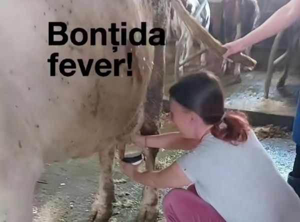 O nouă provocare