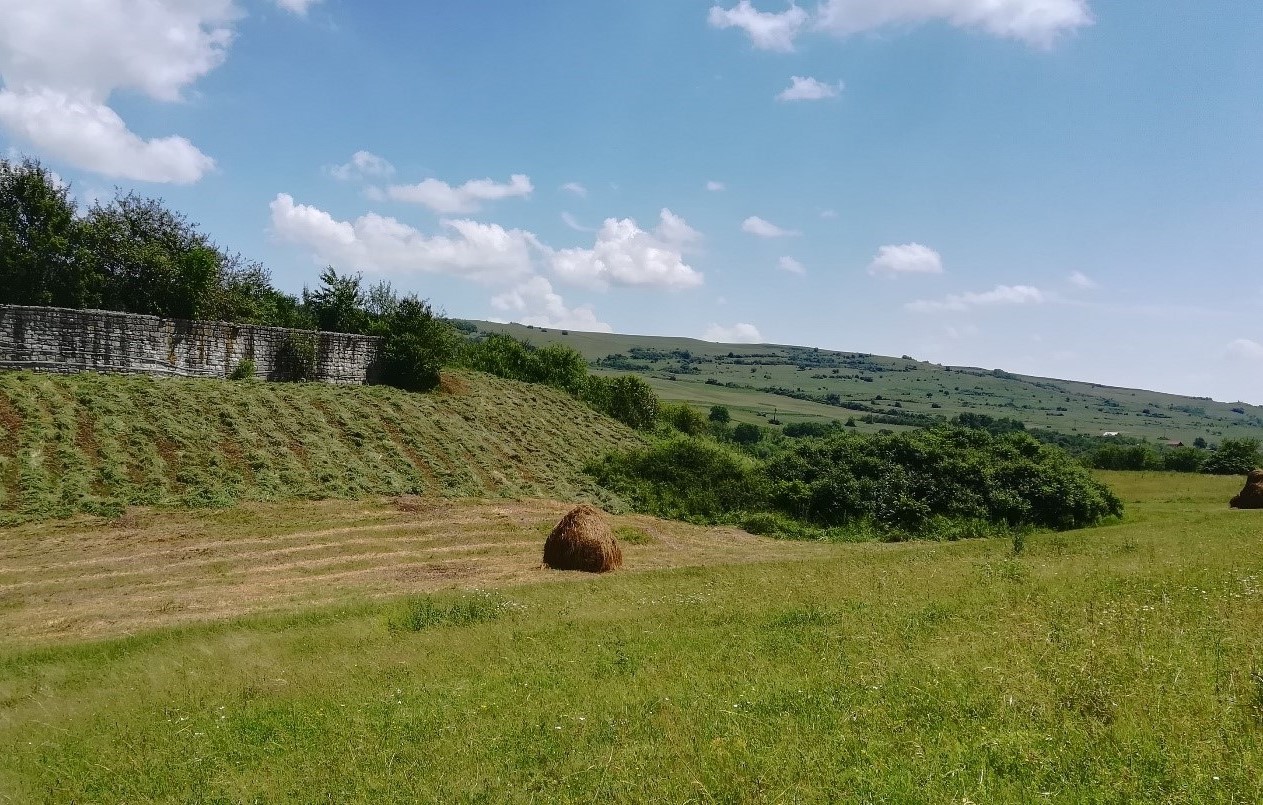 Cetate Dăbâca. Locuri de vizitat în Cluj