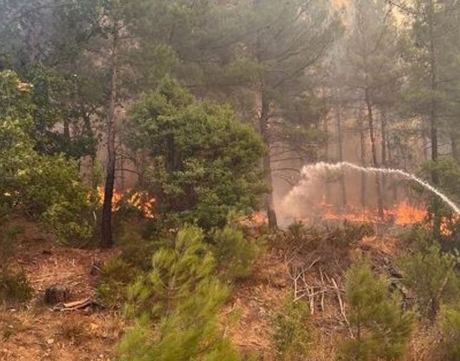 Bărbat mort în urma unui incendiu de vegetație