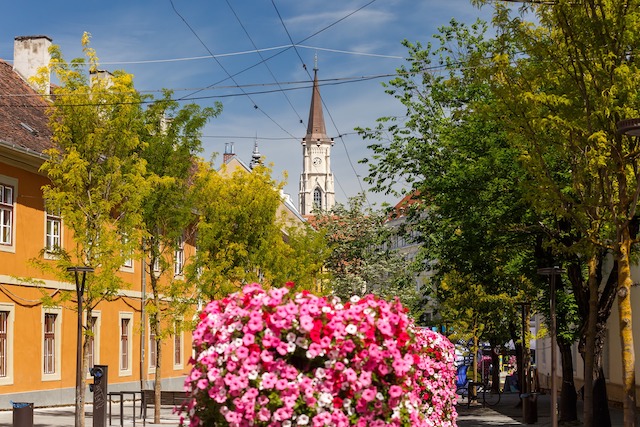 Ce poți face marți