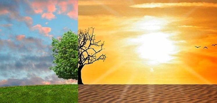 Vara 2024 se dovedește a fi cea mai fierbinte din istorie. Foto: pixabay.com