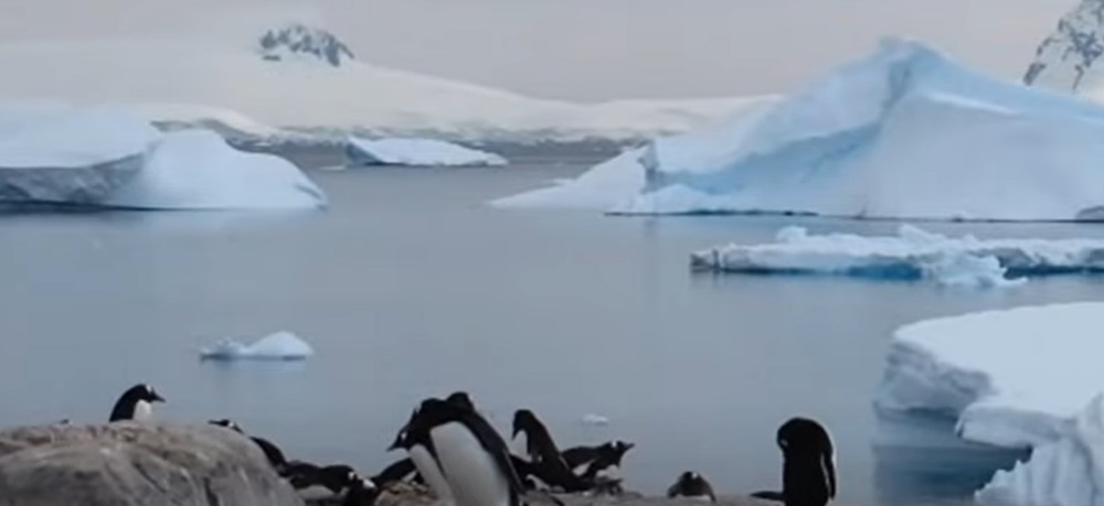 Antarctica