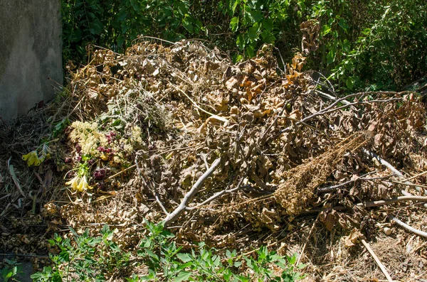Campanie de colectare a deșeurilor vegetale