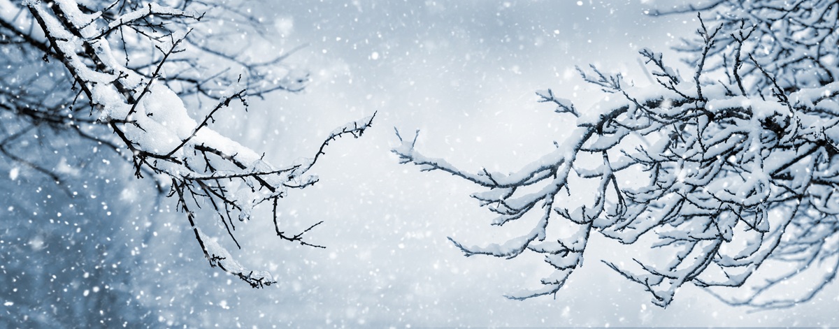 România va fi afectată de precipitații abundente