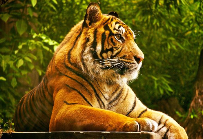 Un bărbat în vârstă de 52 de ani