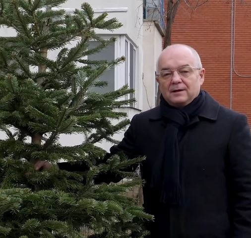 Ce facem cu pomii de Crăciun după sărbători?  Primăria colectează gratuit pomii de Crăciun depuși la punctele gospodărești
