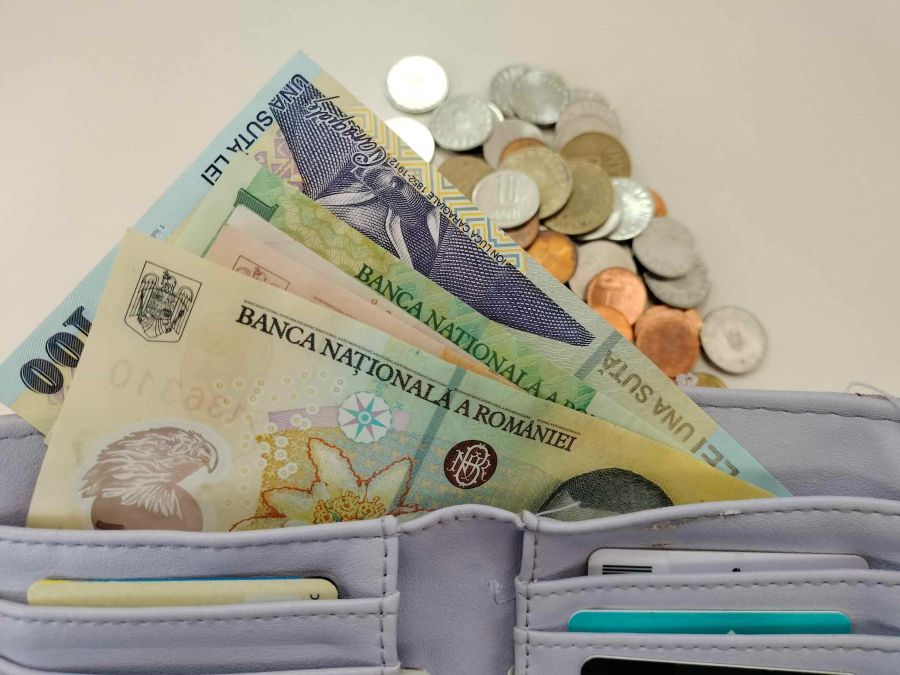 Comisia Naţională de Strategie şi Prognoză: Câştigul salarial mediu net lunar va creşte cu 6