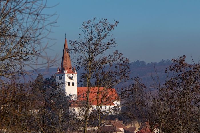 În premieră în România