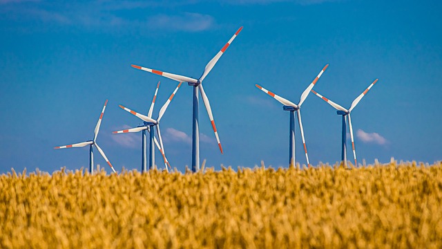 Ministrul Energiei
