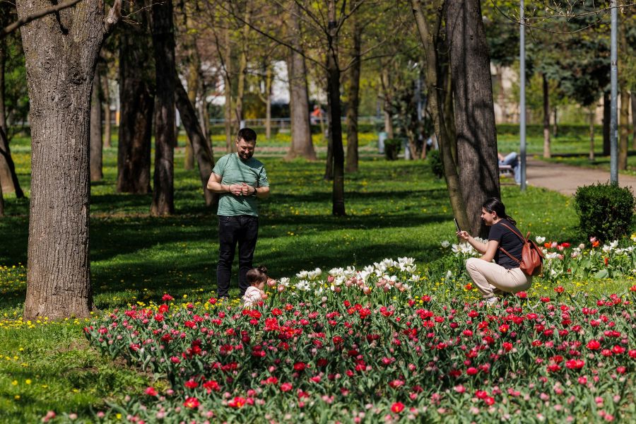 Primăvara la Cluj | Foto: Emil Boc - Facebook
