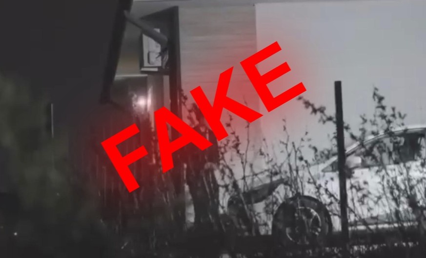 Scandalul fotografiilor publicate de Elena Lasconi. USR se dezice de utilizarea