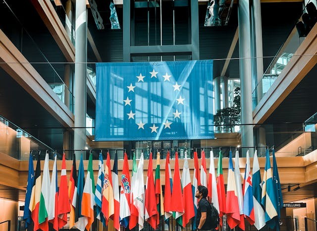 Ziua Europei și Ziua Independenței de Stat a României