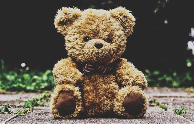 Atenție la jucăriile de 1 Iunie! ANPC avertizează: „Nu orice cadou este un dar sigur” | Foto: pixabay.com