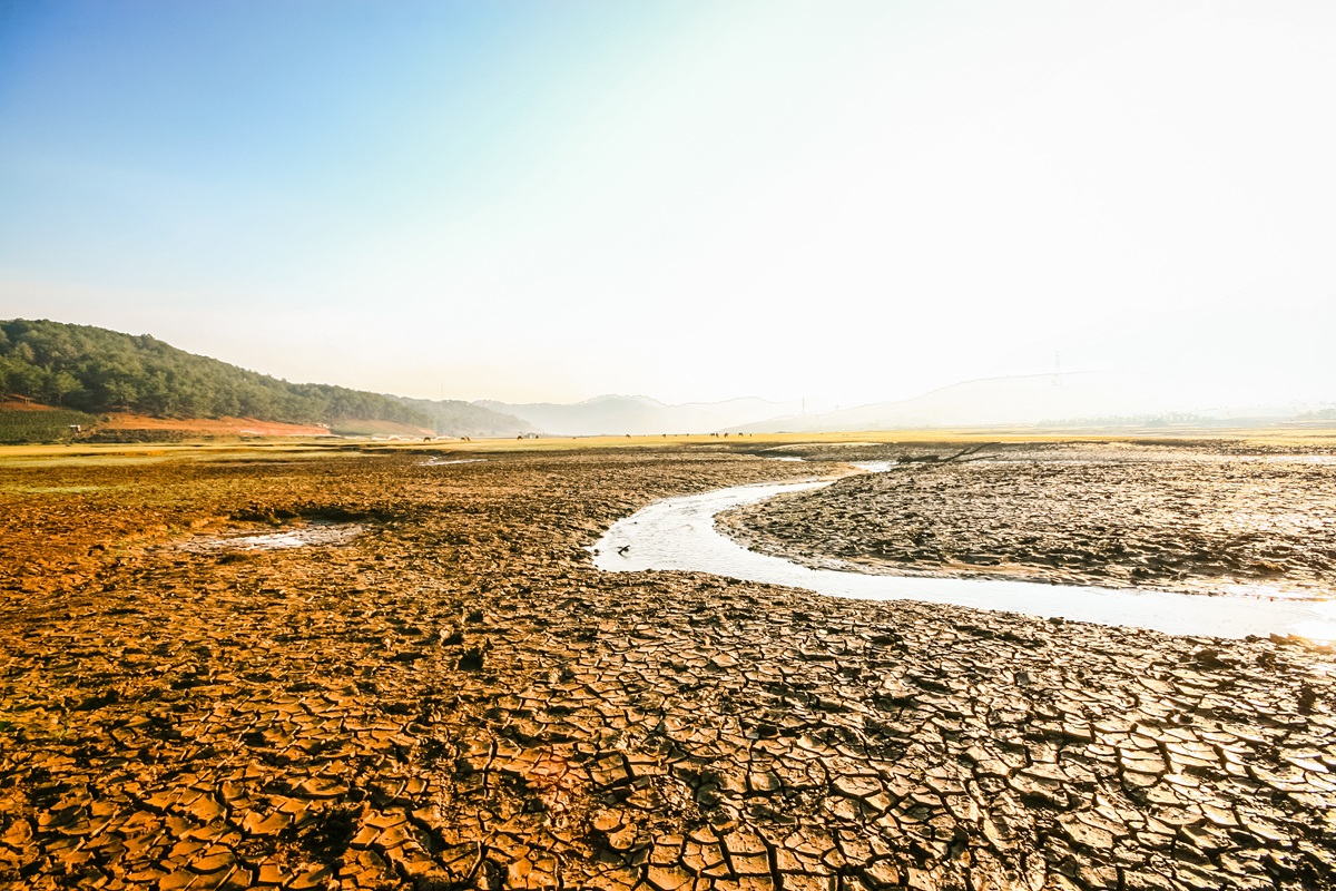 Planeta are 80% șanse să stabilească recorduri de căldură în următorii cinci ani. Foto: Depositphotos.com
