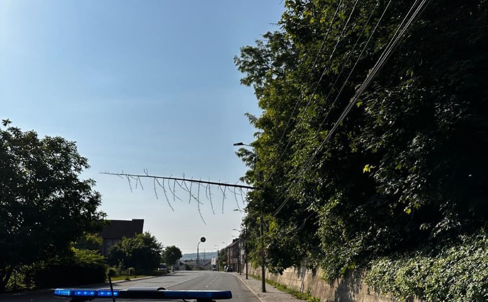 Arbore căzut peste firele de curent