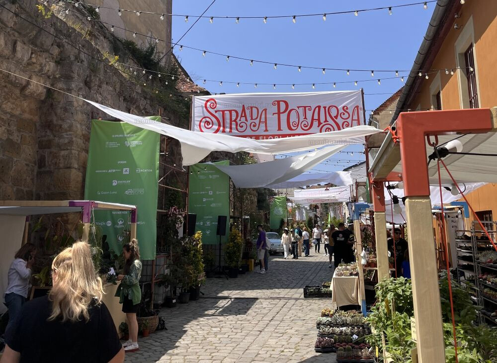 Strada Potaissa